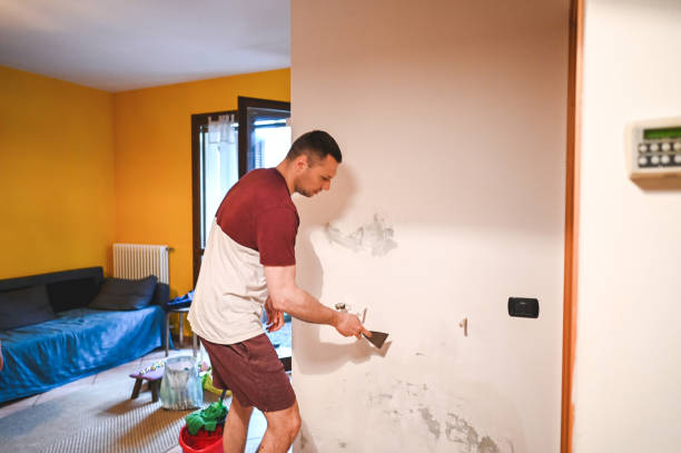 Home Mold Removal in Girardville, PA